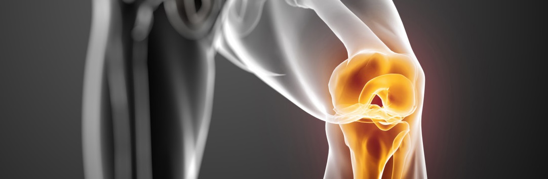 Knee-Joint-highlight 1083